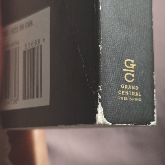 Verity Book - Picture 4 of 5